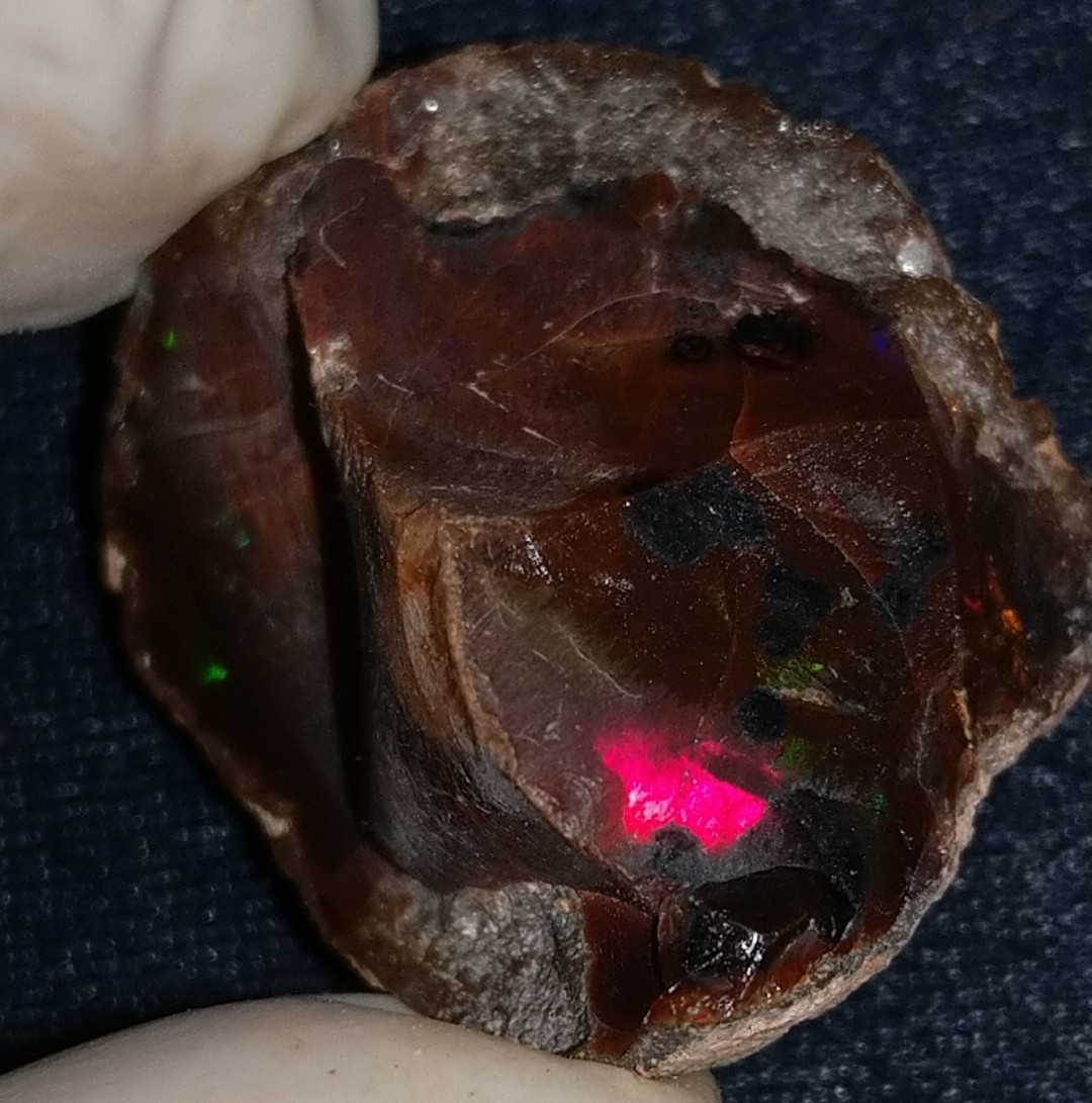 43 Carat Ethiopian Chocolate Shewa Rough Opal #6100127035