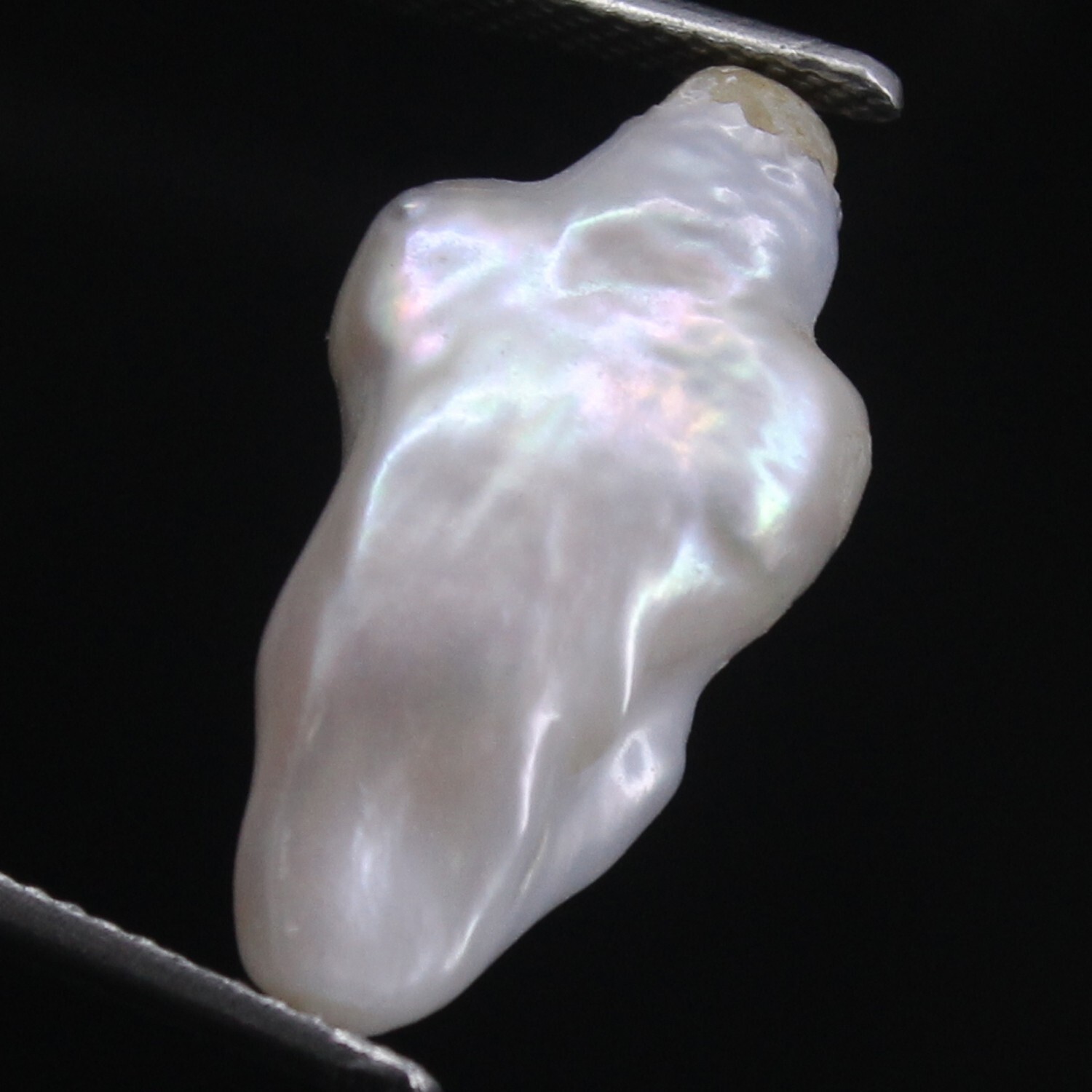 Certified Natural 7.60 Ct Keshi White Pearl Lombok 19.90×10.40×6.10 MM Drilled
