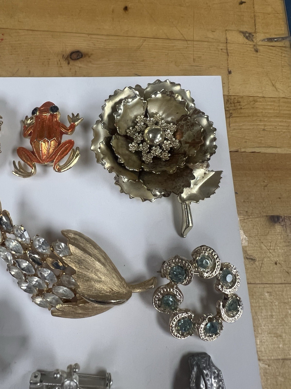 Lot Of Vintage Costume Jewelry Brooches / Pins Flowers, Frogs, Gold Tone, Etc