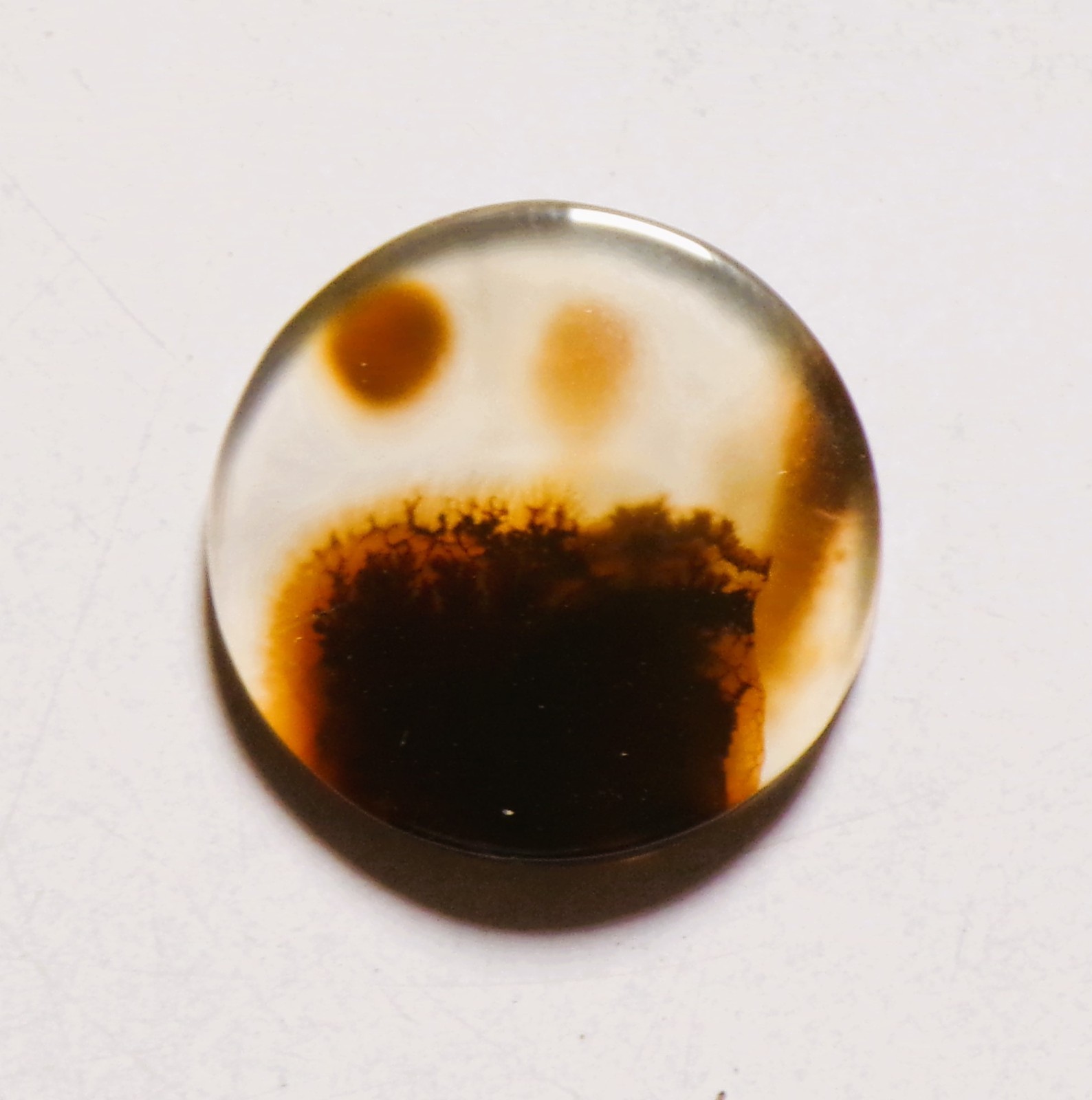 10.00 Cts Natural Shazar Dendritic Agate Cabochon Loose Gemstone 19X19X3.2MM 174