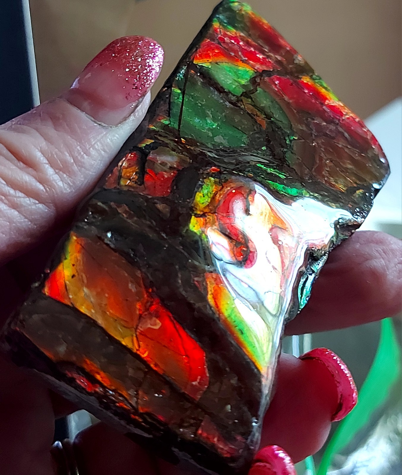 Ammolite Ammonite tabletop Display Color Changer Piece 99.845×12.3mm 5757