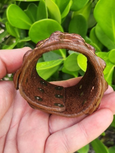Bracelet cuff genuine Alligator leather brown for 6 inch wrist size made in USA