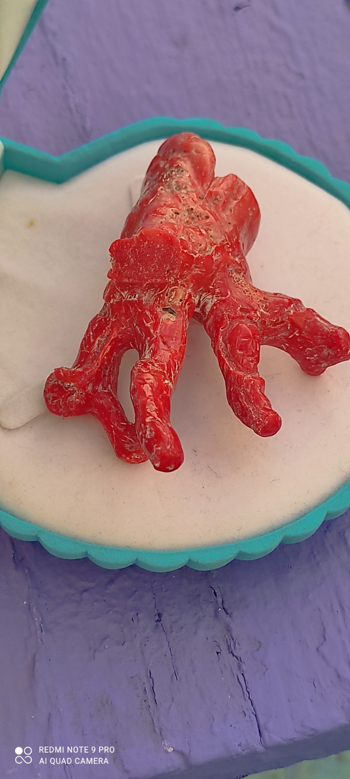 Natural Red Coral of Sardinia