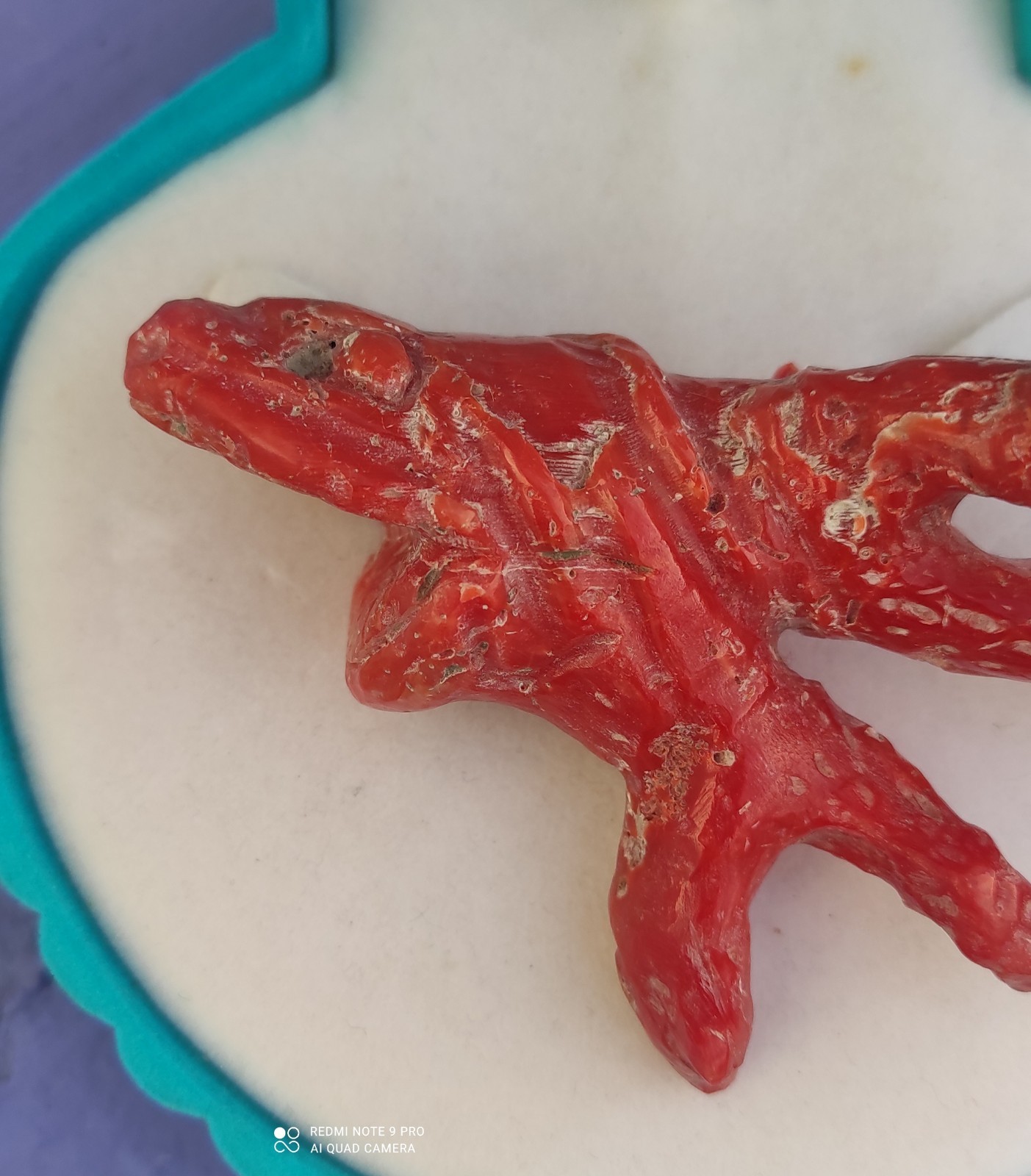 Natural Red Coral of Sardinia