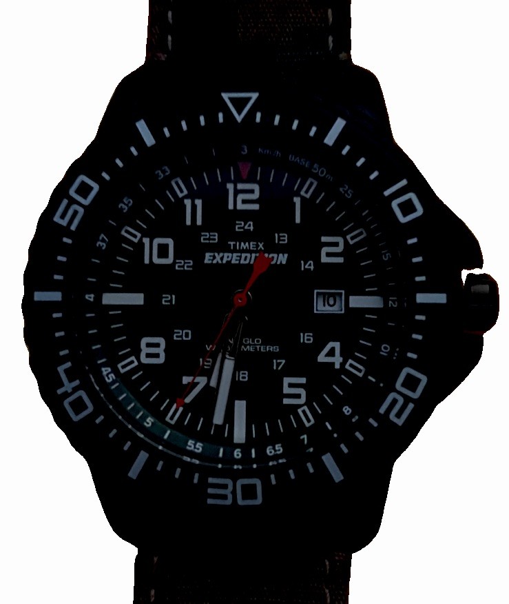 TIMEX EXPEDITION T49965