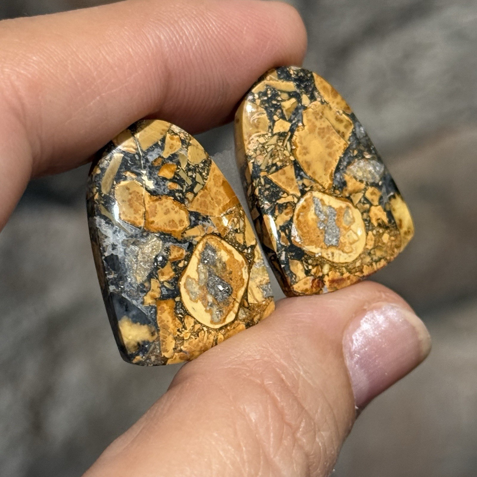 41.6ct 26.5×18.5x4mm Pair Fine Colorful Scenic Picture Maligano Jasper Cabochons