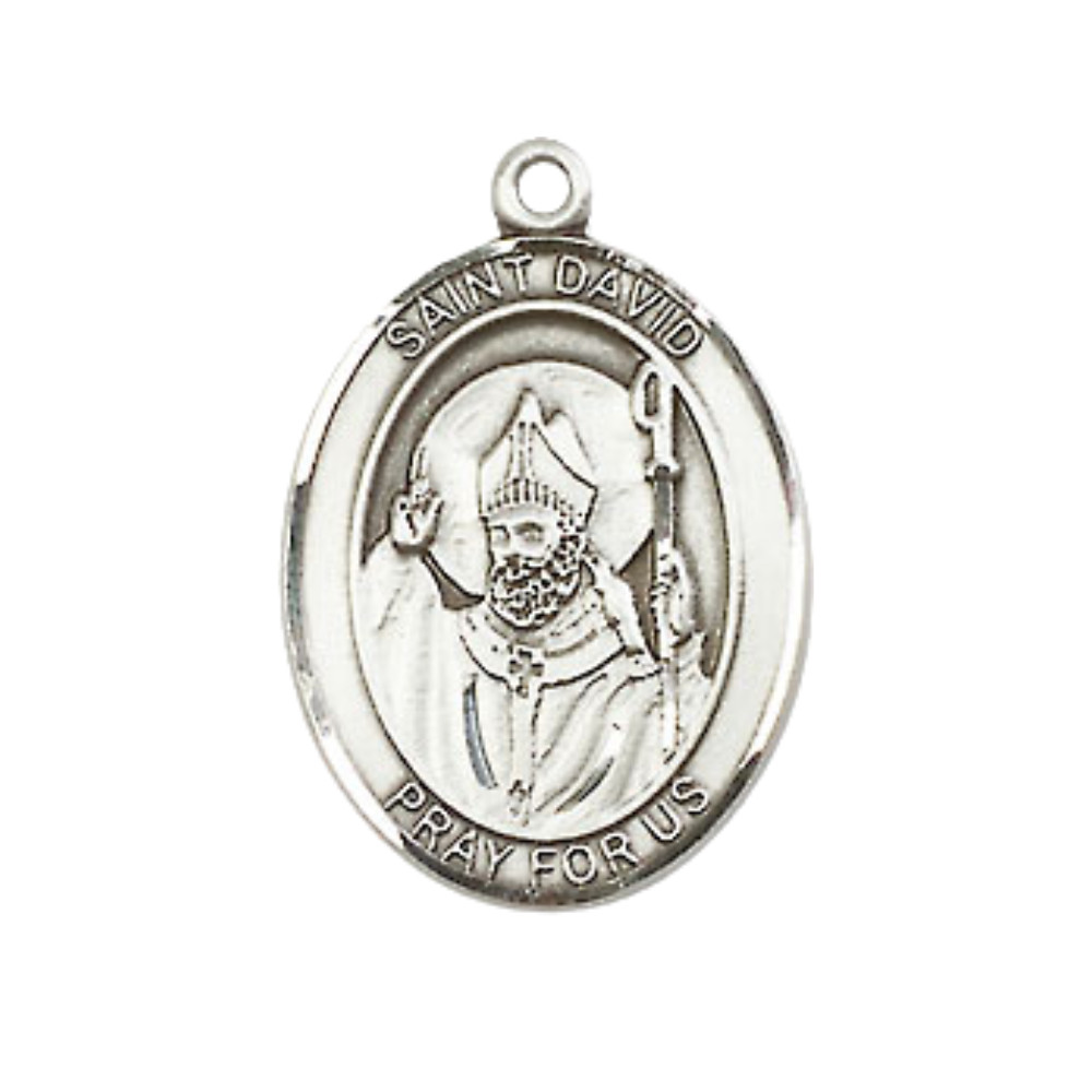 Medium Pewter Saint David of Wales Medal 24″ Lobster Claw Chain Necklace w/ Box