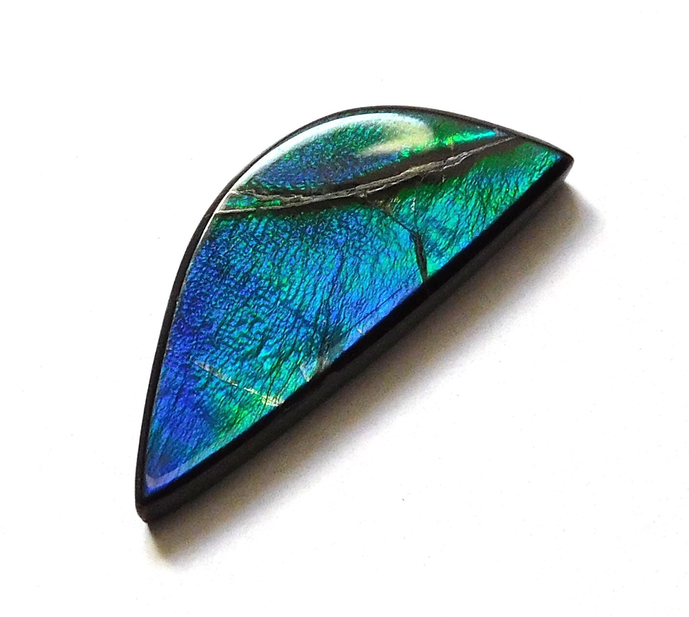 9.05 Ct Natural Canadian Ammolite Cabochon Loose Gemstone 26.8X11X3.4MM LB14