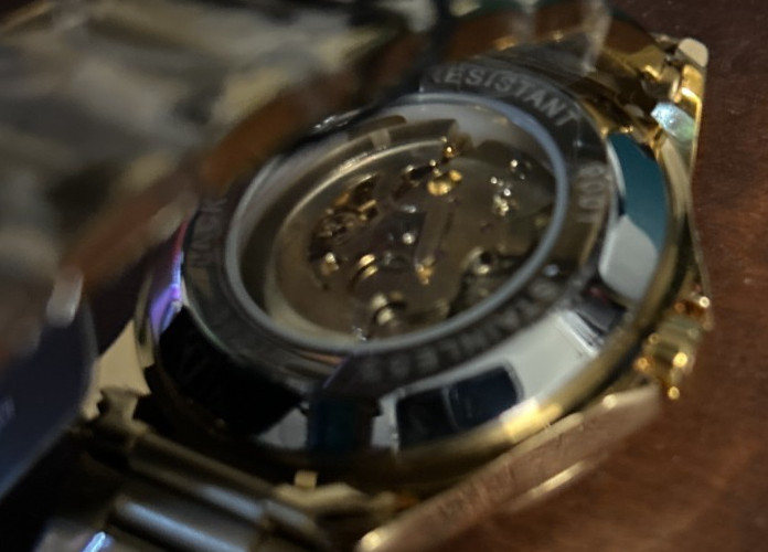 BIBI Automatic Skeleton Watch Gold Tone Stainless Steel NEW w/ Tags Luxury Style