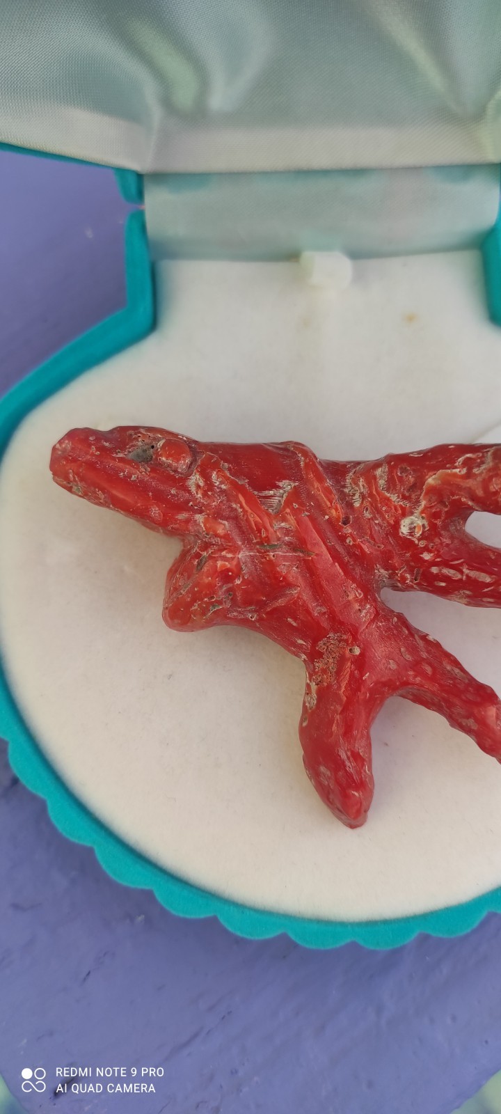 Natural Red Coral of Sardinia