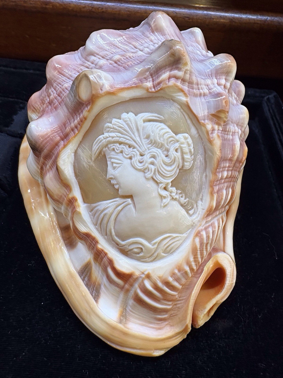 Conch Shell Cameo Capri Italy Island Naples with Flora, Goddess Of Flowers