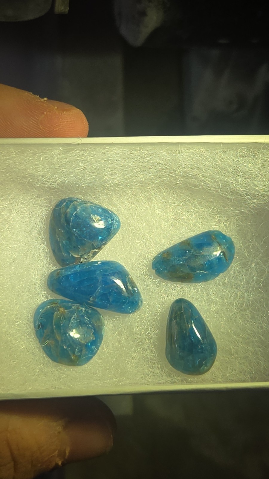 Blue Apatite Cabochon Bundle BOX