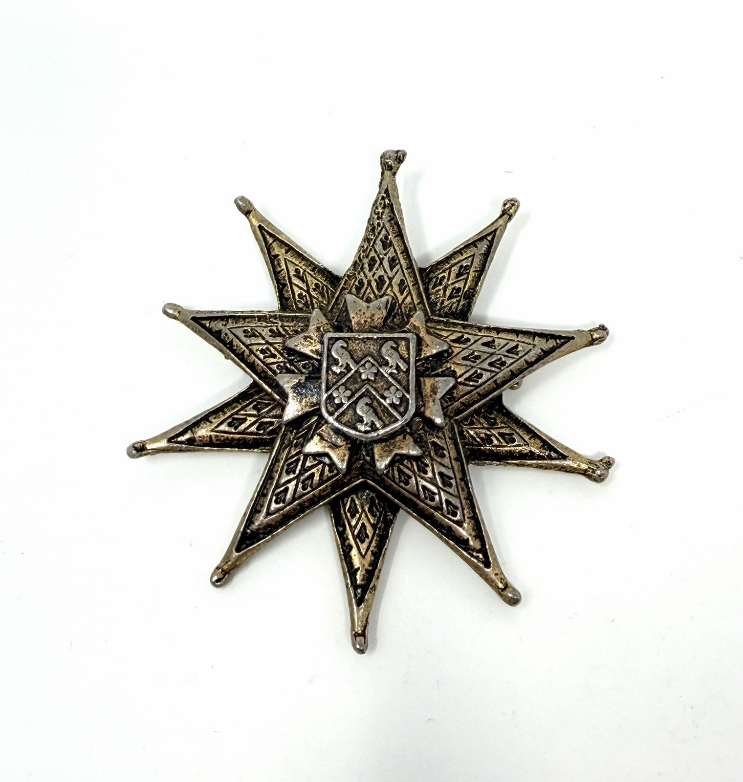 Vintage Large Heraldic Star Brooch Medieval Coat of Arms Shield Pin