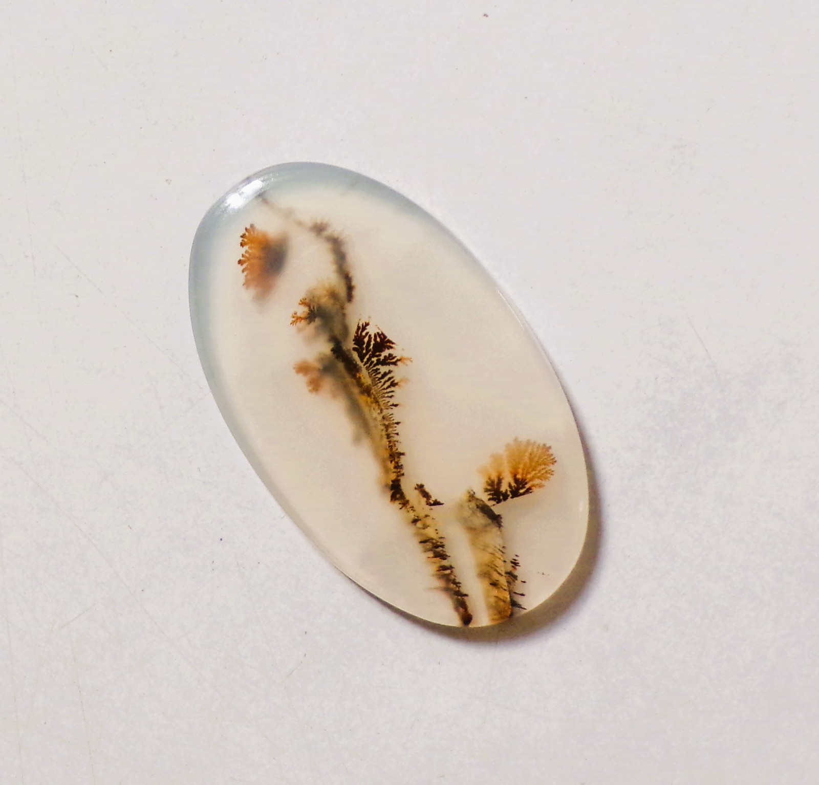 20.50 Cts Natural Shazar Dendritic Agate Cabochon Loose Gemstone 35X21X3.1MM 124