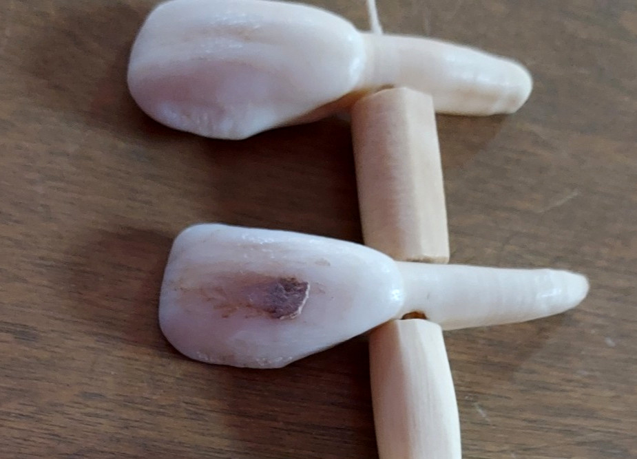 REAL Natural Vintage Tribal Ethnic Necklace Tooth / 20 TEETH + Animal BONES