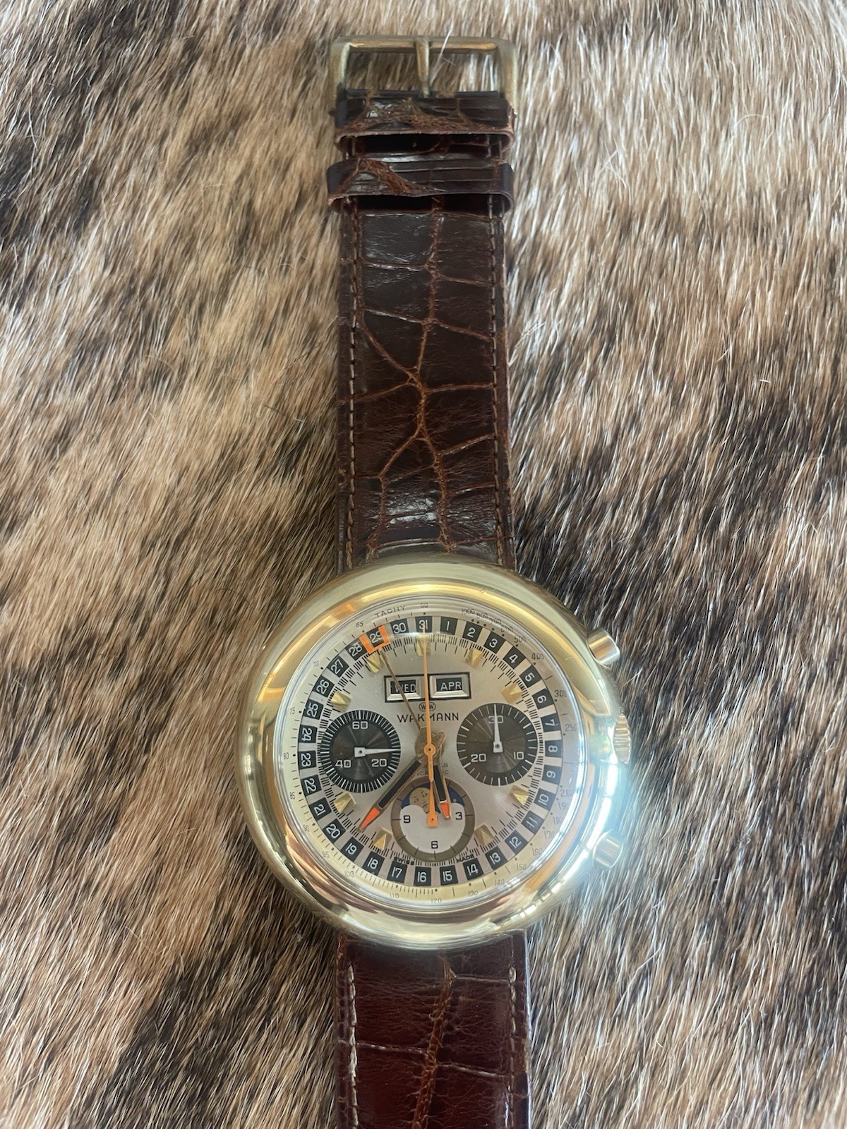 Vintage Wakmann Valjoux 88 Moonphase Chronograph Jules Jurgensen + NOS Case