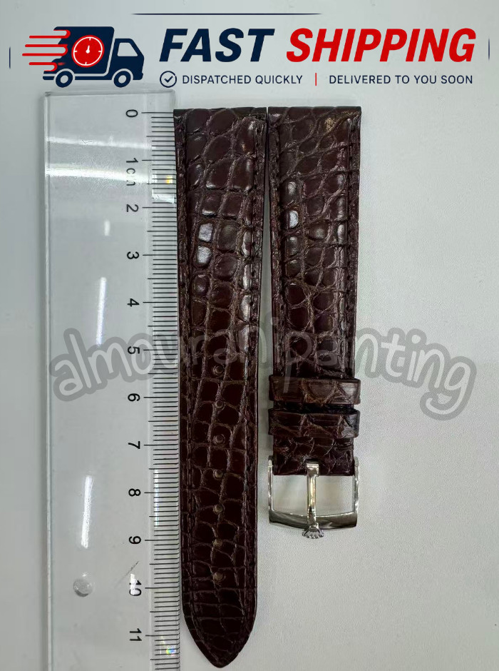 Rolex 19/16mm Brown Crocodile Leather Band + 𝐑𝐎𝐋𝐄𝐗 Silver Crown Buckle NOS