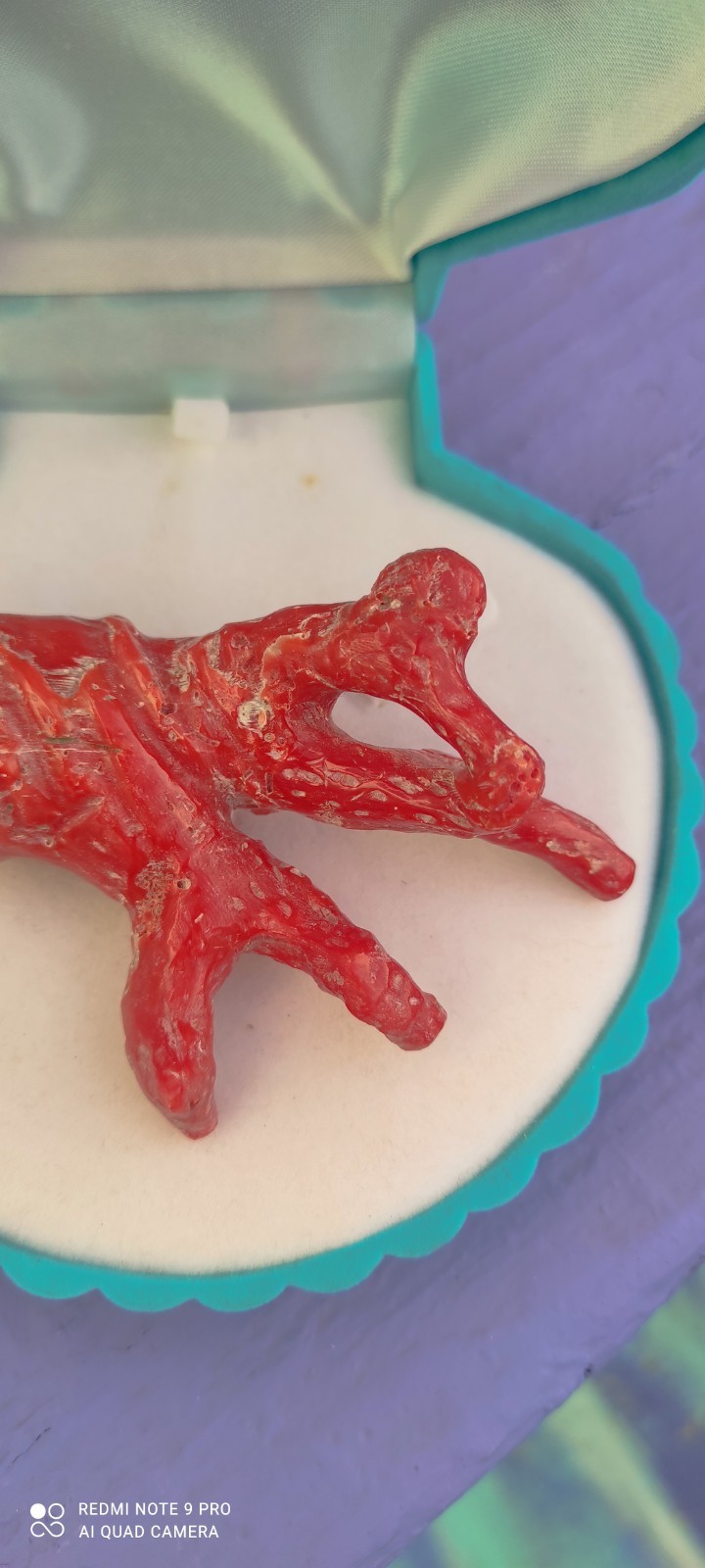 Natural Red Coral of Sardinia