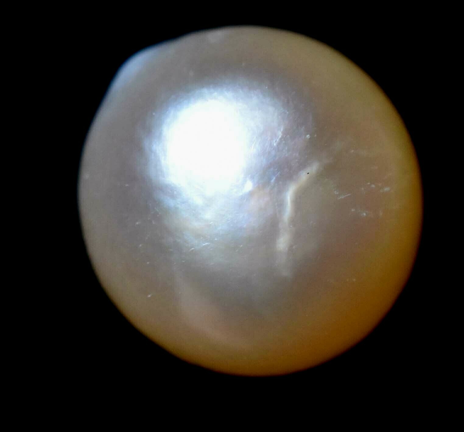 Natural Australian South Sea White Pearl 8.20 CT Certified Untreated Gemstone