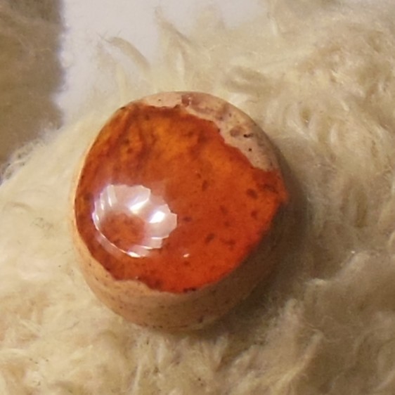 1.55ct Mexican Fire Opal Freeform 9.6 x 8.7mm Pop It in the Cart Sale