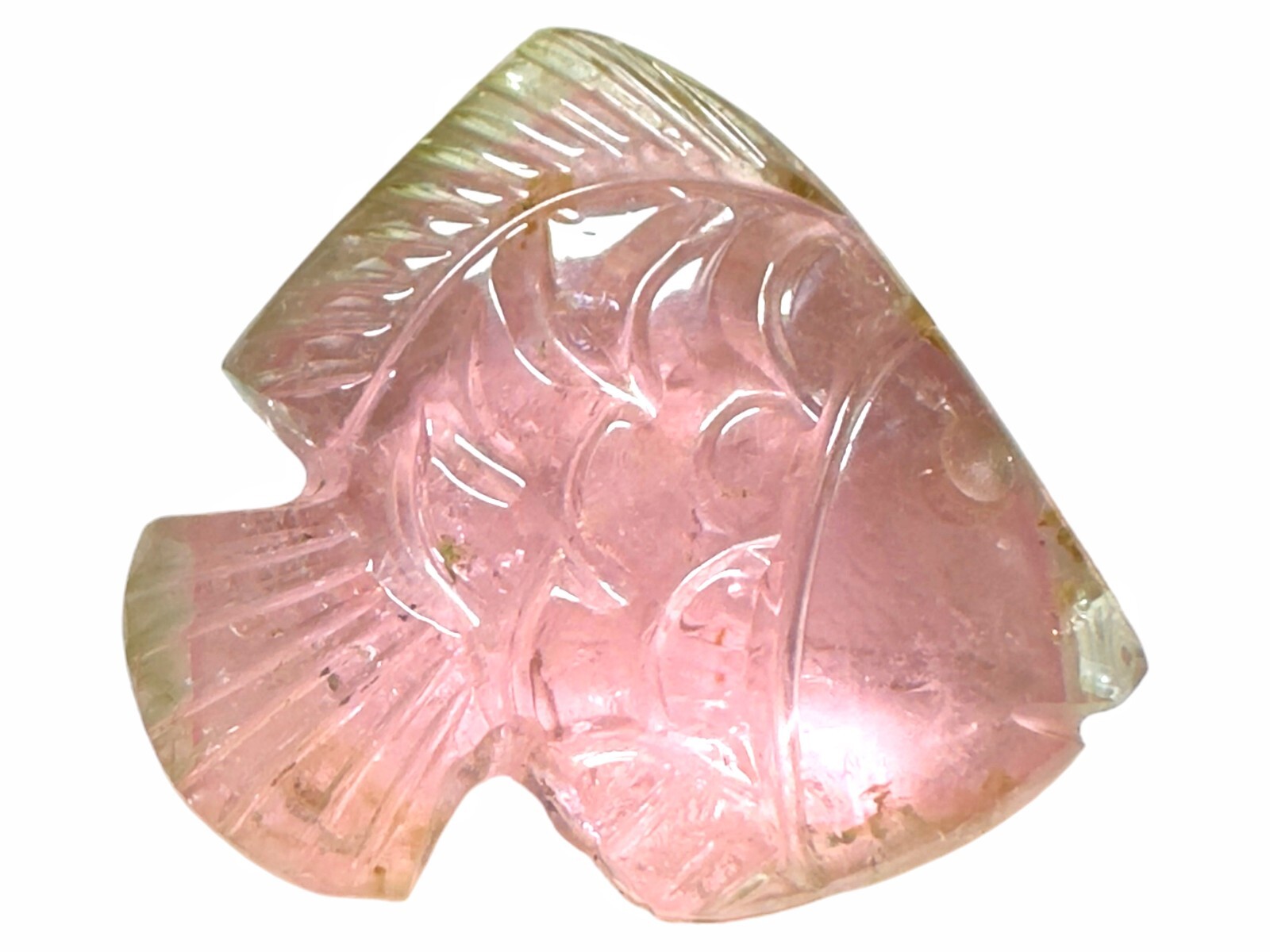 Tourmaline fish carvings, Tourmaline carved fish, Bicolor tourmaline carvings, F