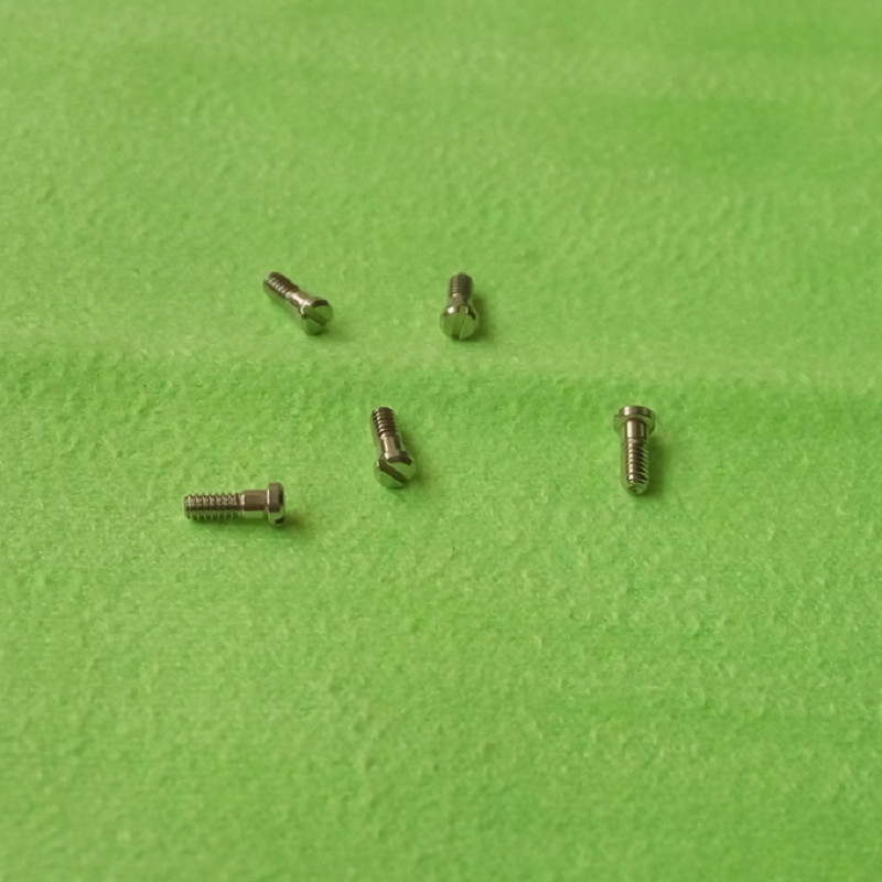Assortment of 240 Stainless Steel Screws for Watch Back Case 12 sizes W/Box
