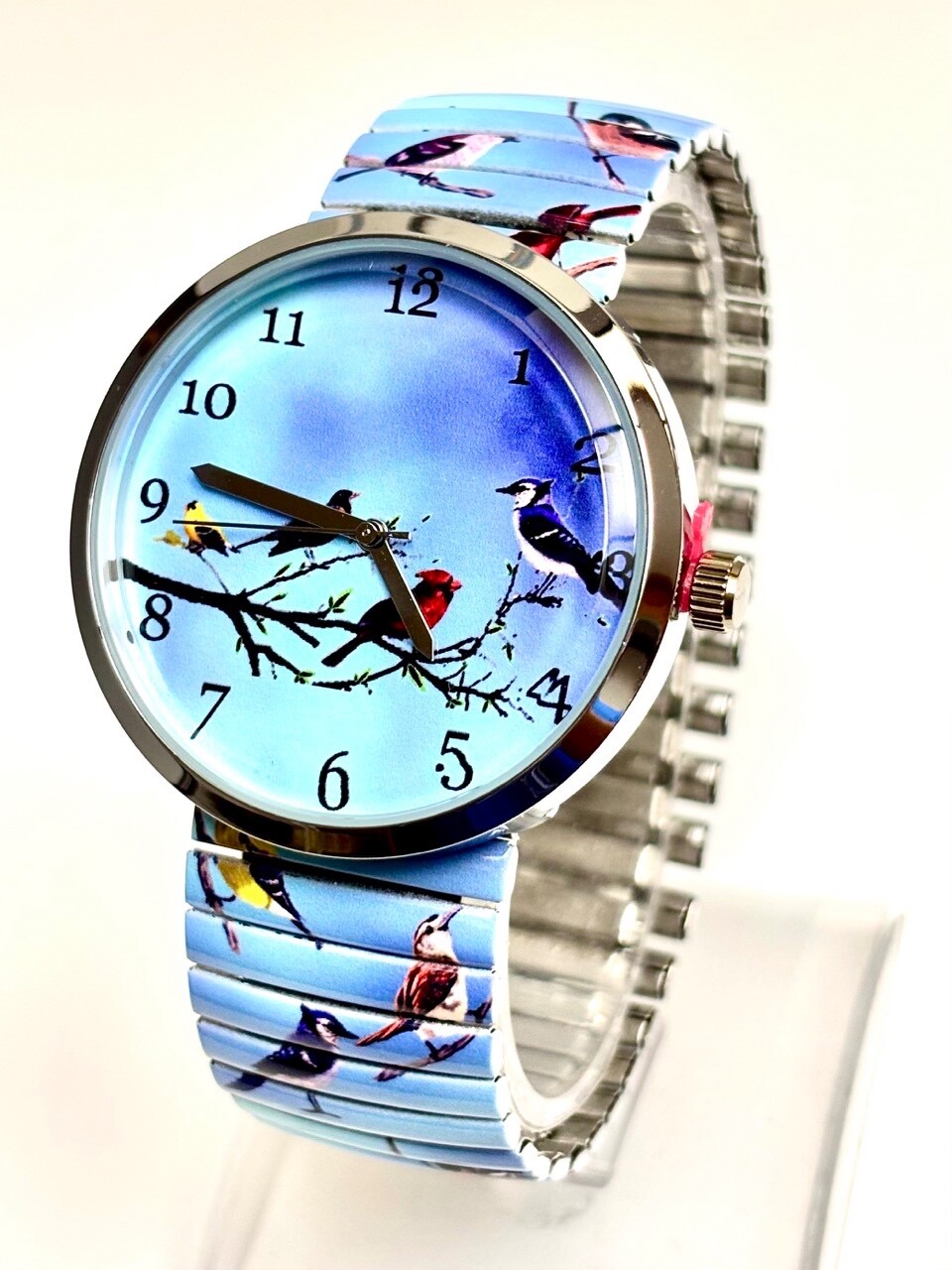 Songbirds, Osciens Stretch Watch