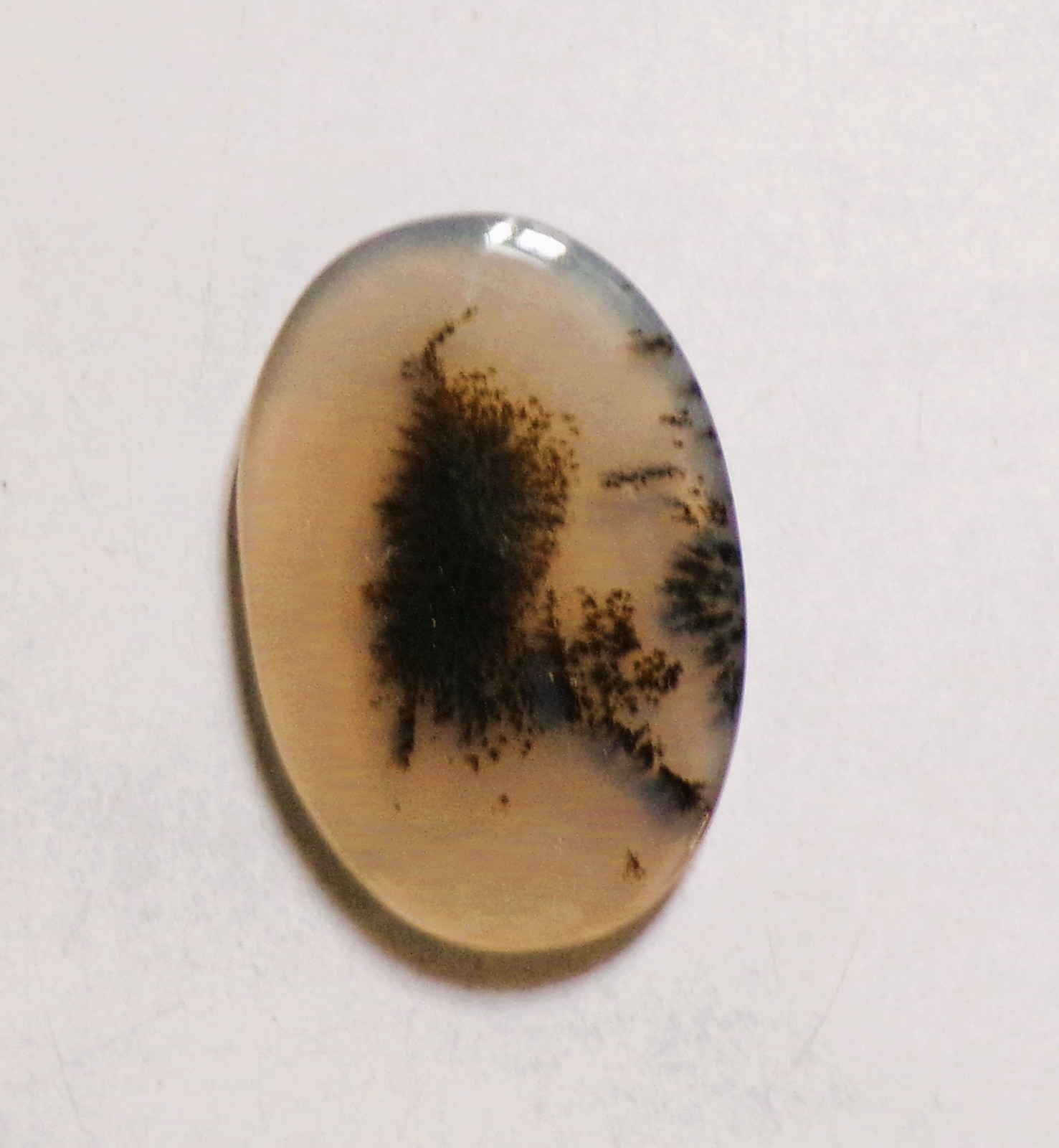 12.45 Cts Natural Shazar Dendritic Agate Cabochon Loose Gemstone 27X18X2.8MM 49