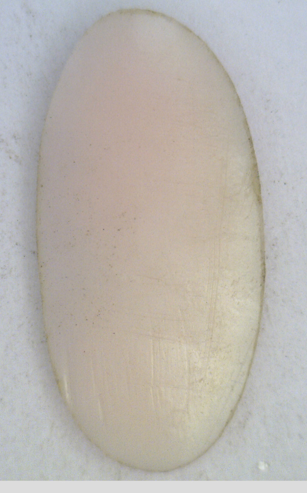 NOS Antique Oval Carved Shell Detailed Cameo Stone Piece 24 mm x 12 mm #ZZ82