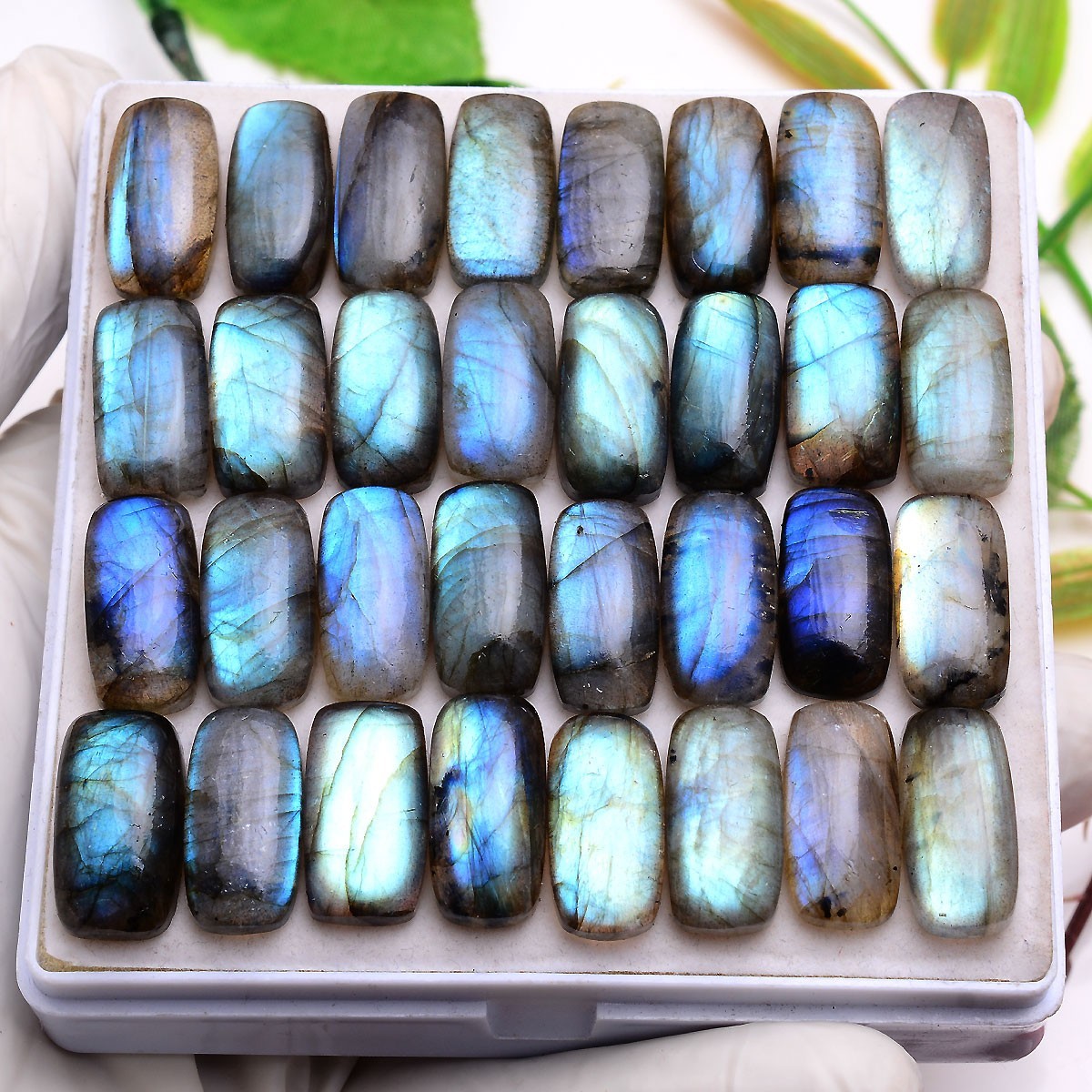 Set Of 12 Pcs Natural Labradorite 19mmx10mm Cushion Cabochon Loose Gemstones Lot