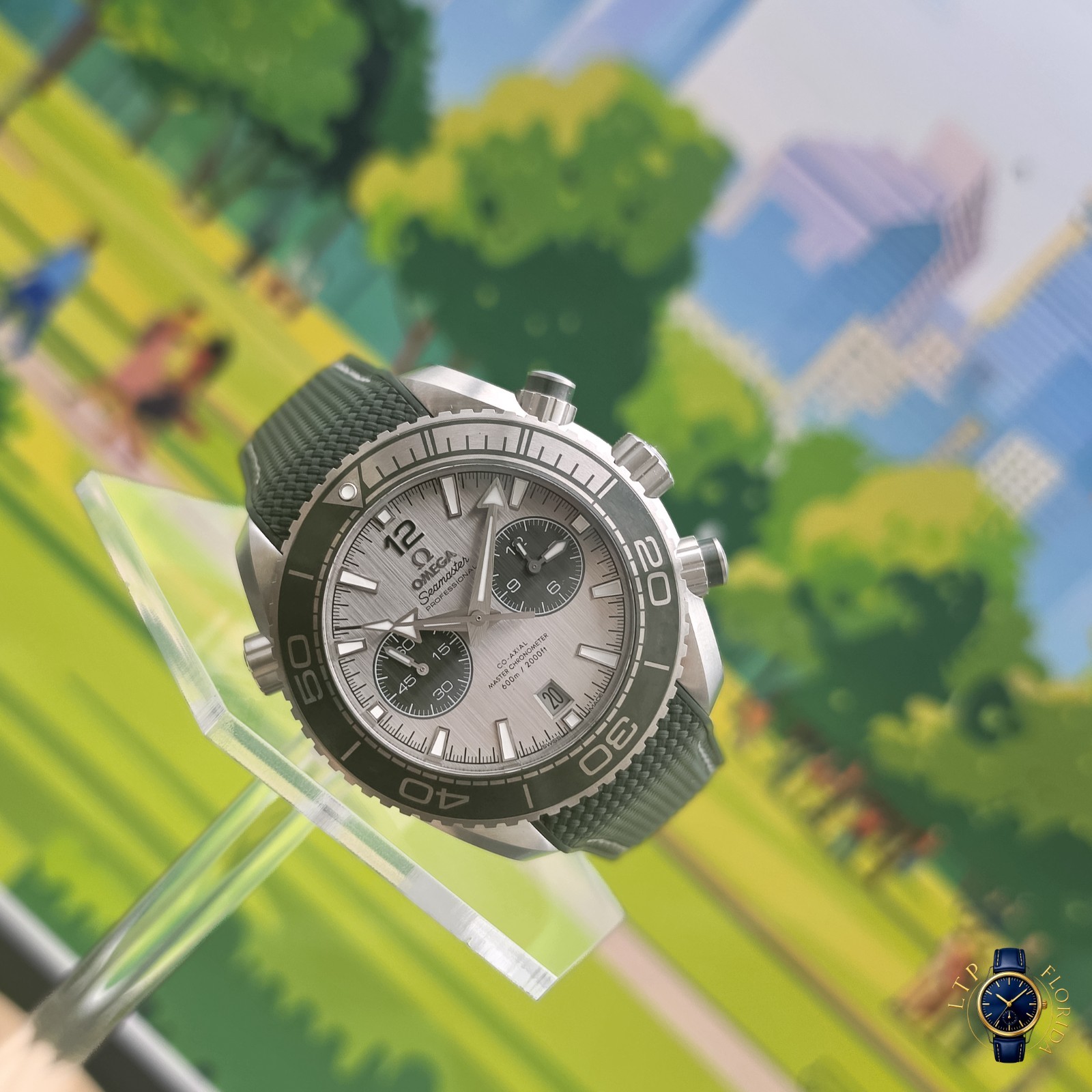 2026 | Omega | Seamaster | Planet Ocean 600M| Grey Dial | 215.32.46.51.06.001