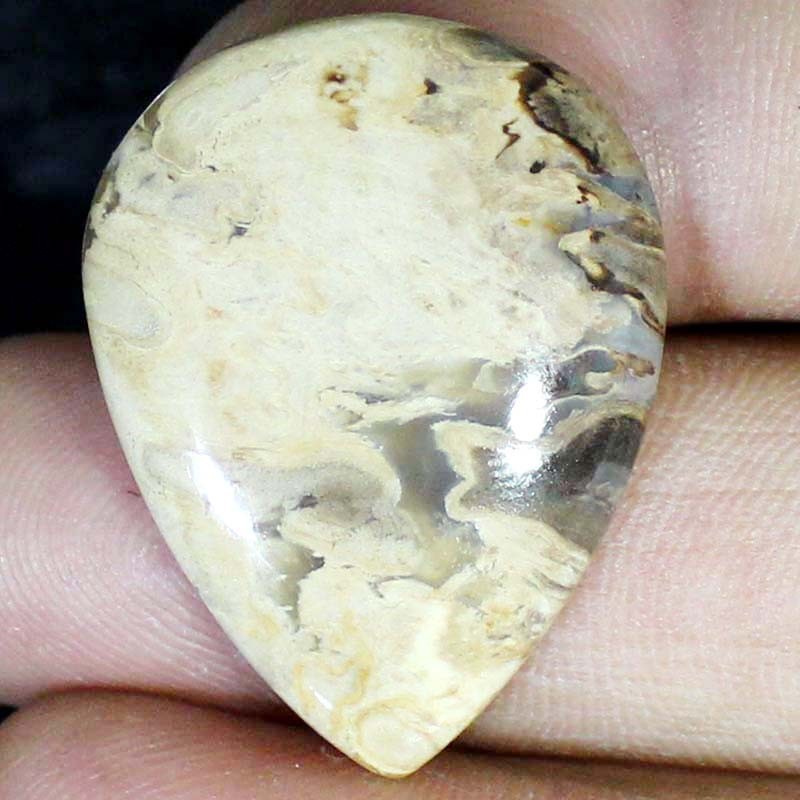 37.00 CT Natural Petrified Wood Agate PEAR Cabochon , Petrified stone 27x35x5 mm