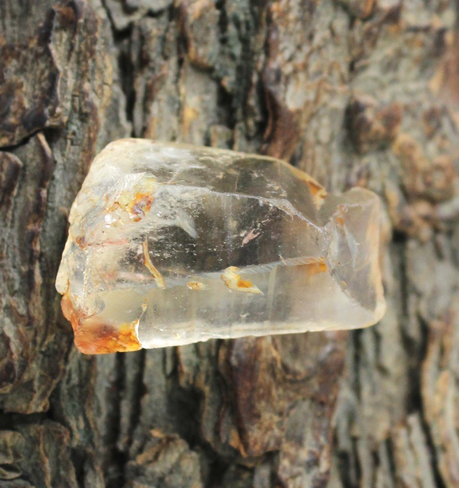48.45 Ct Certified Natural Yellow Golden Topaz Gemstone Rough T36489