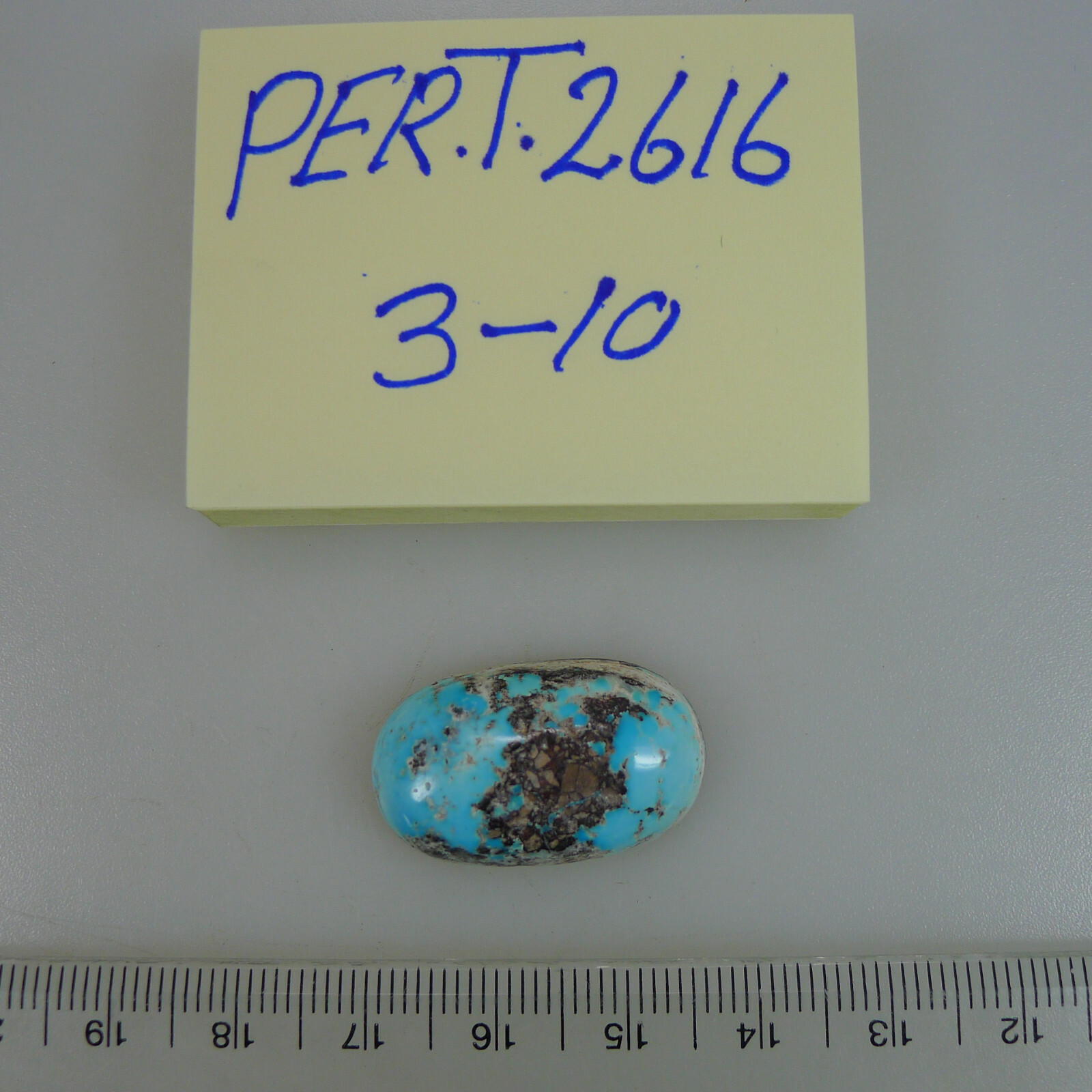 Persian Turquoise 100% Natural 1 Oval Shape Cabochon 23.14 TCW