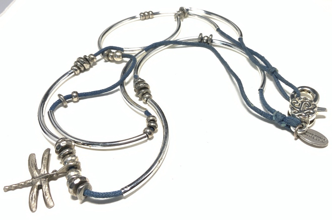 Lizzy James Silver Tone Dragonfly Chain Necklace 20-inches LY107