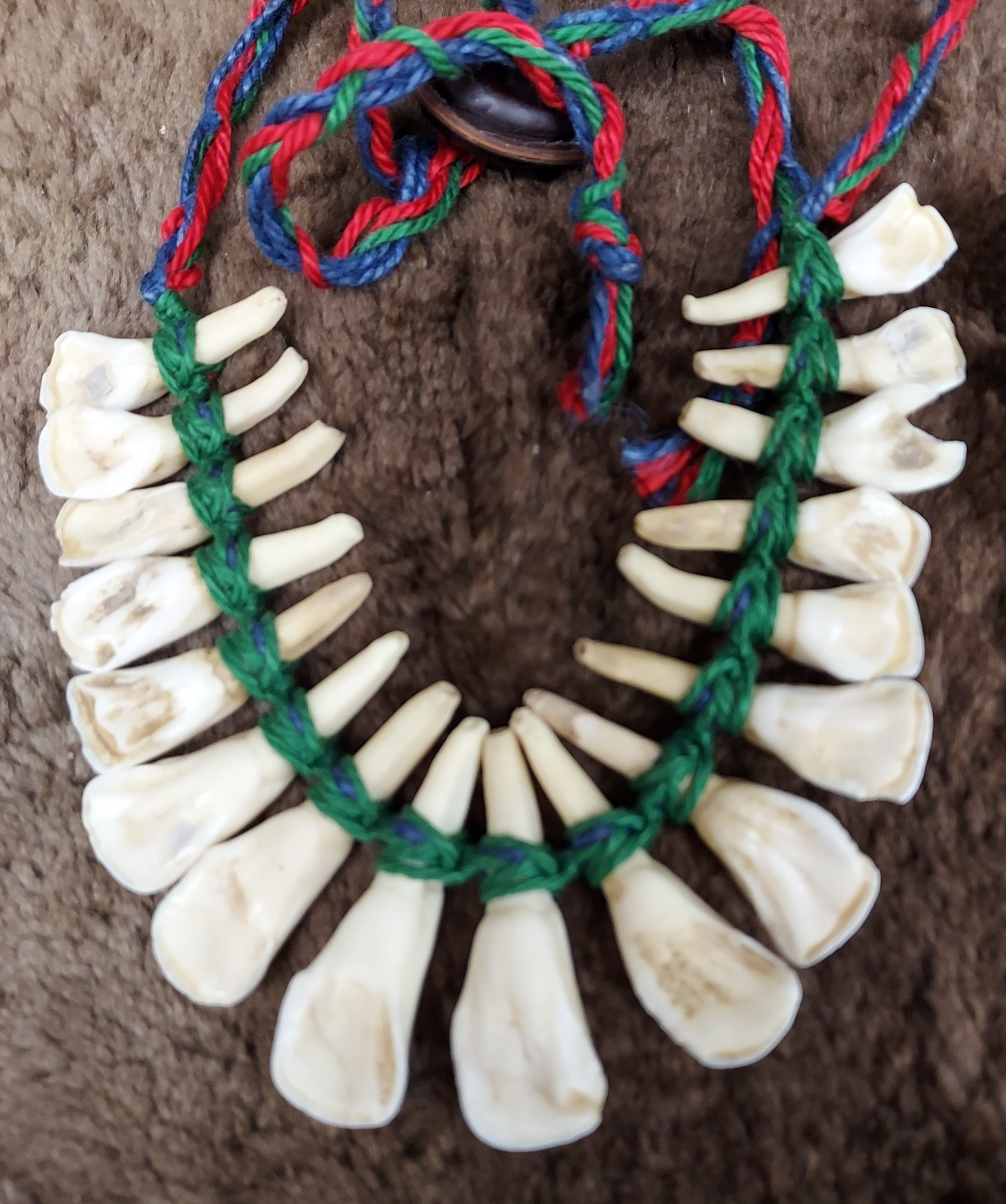REAL Natural Vintage Tribal Ethnic Necklace Tooth / Unknown Animal TEETH