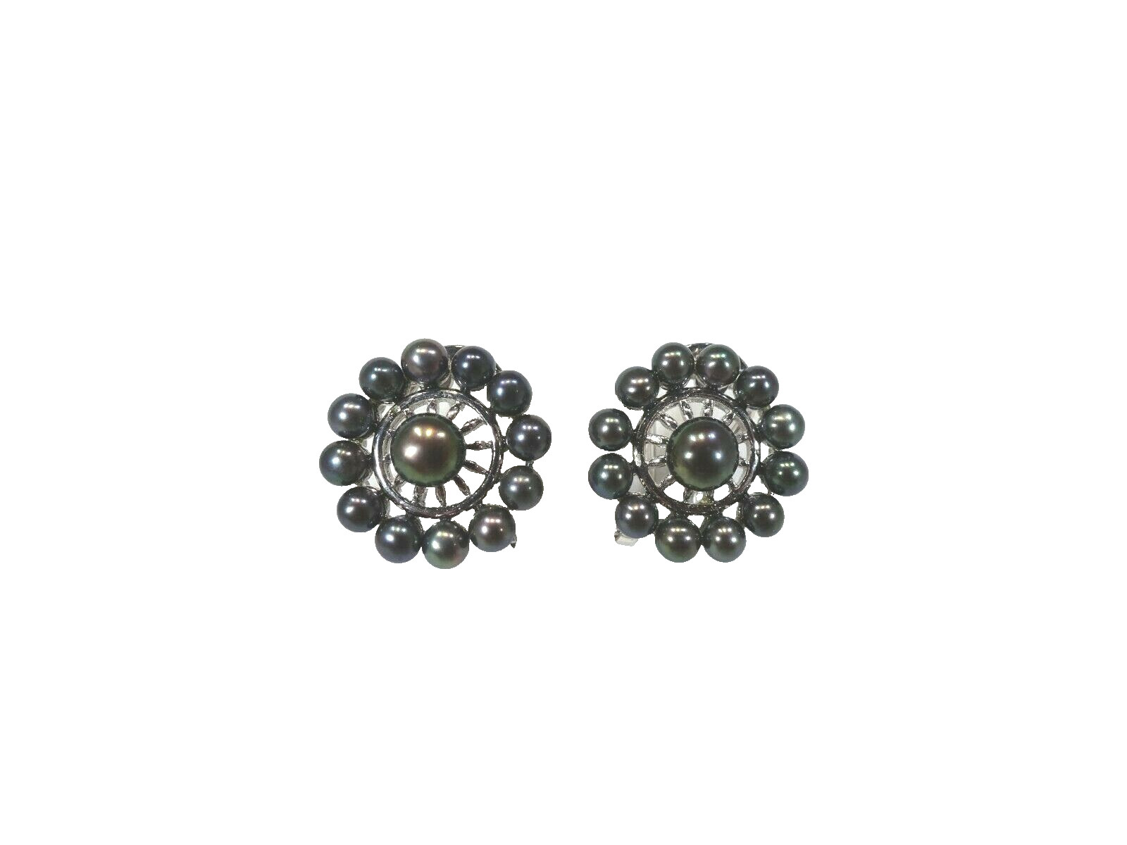 Cultured Freshwater Black Pearl Solid Sterling Silver Omega Back Earrings