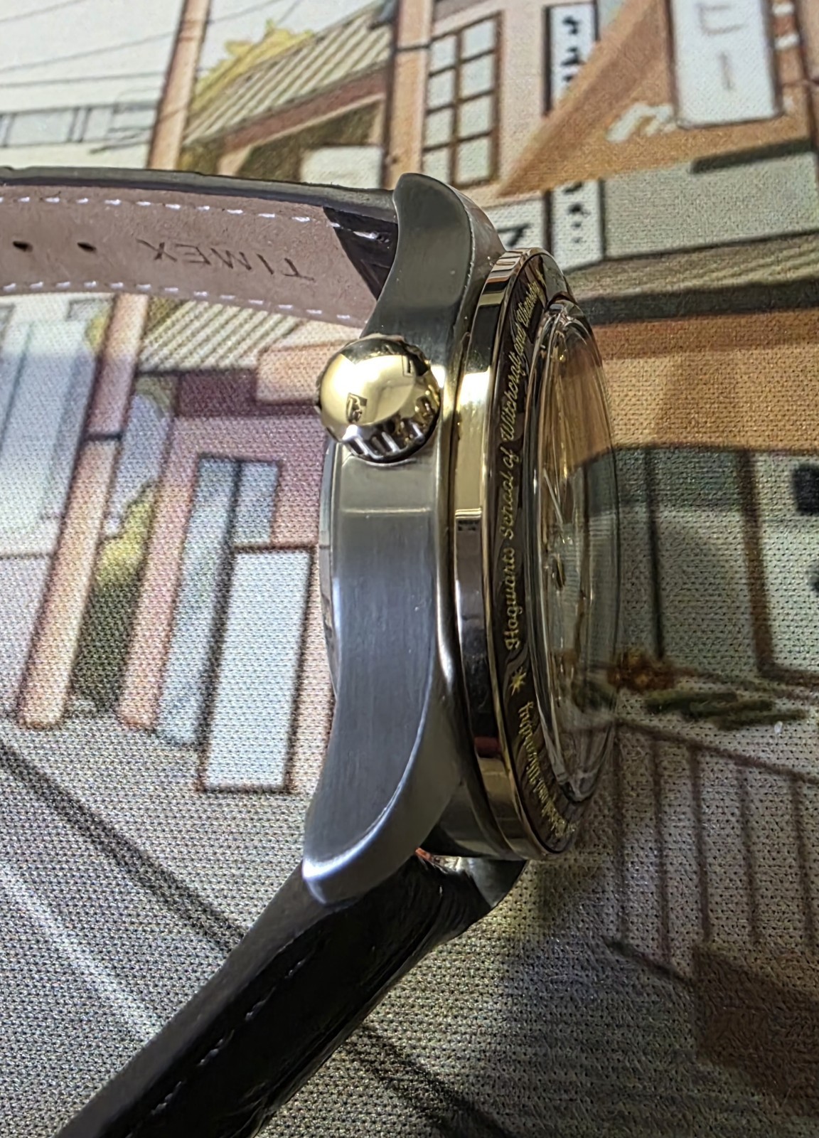 Harry Potter x Timex Waterbury Automatic Skeleton 39mm Leather Strap