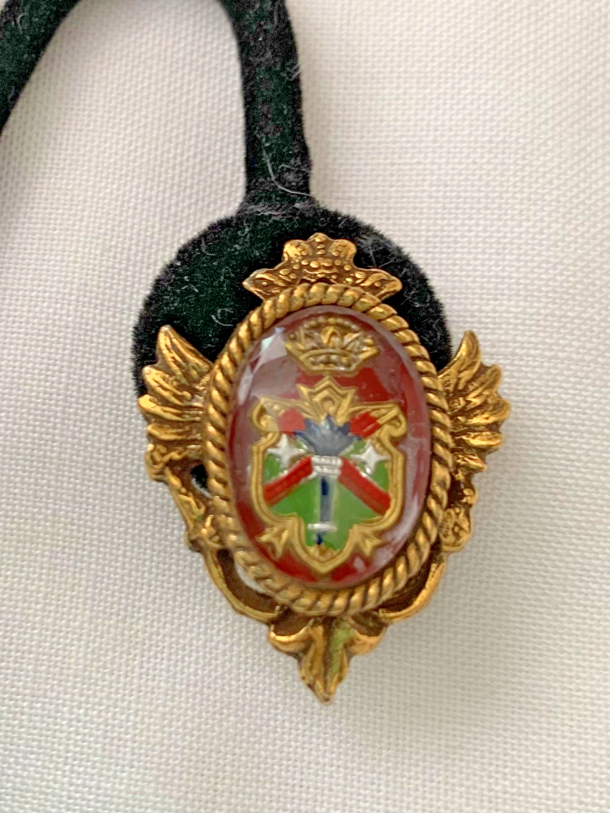 Coat of Arms Enamel Bracelet and Earrings – Heraldic Lion Passant – High Quality