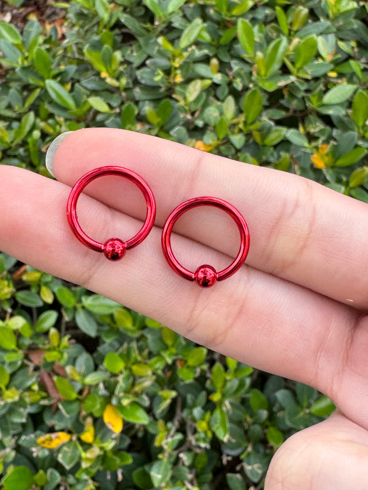Captive Bead Ring surgical steel Pvd 14G Earrings Hoops Lip Belly Nipple 12PK