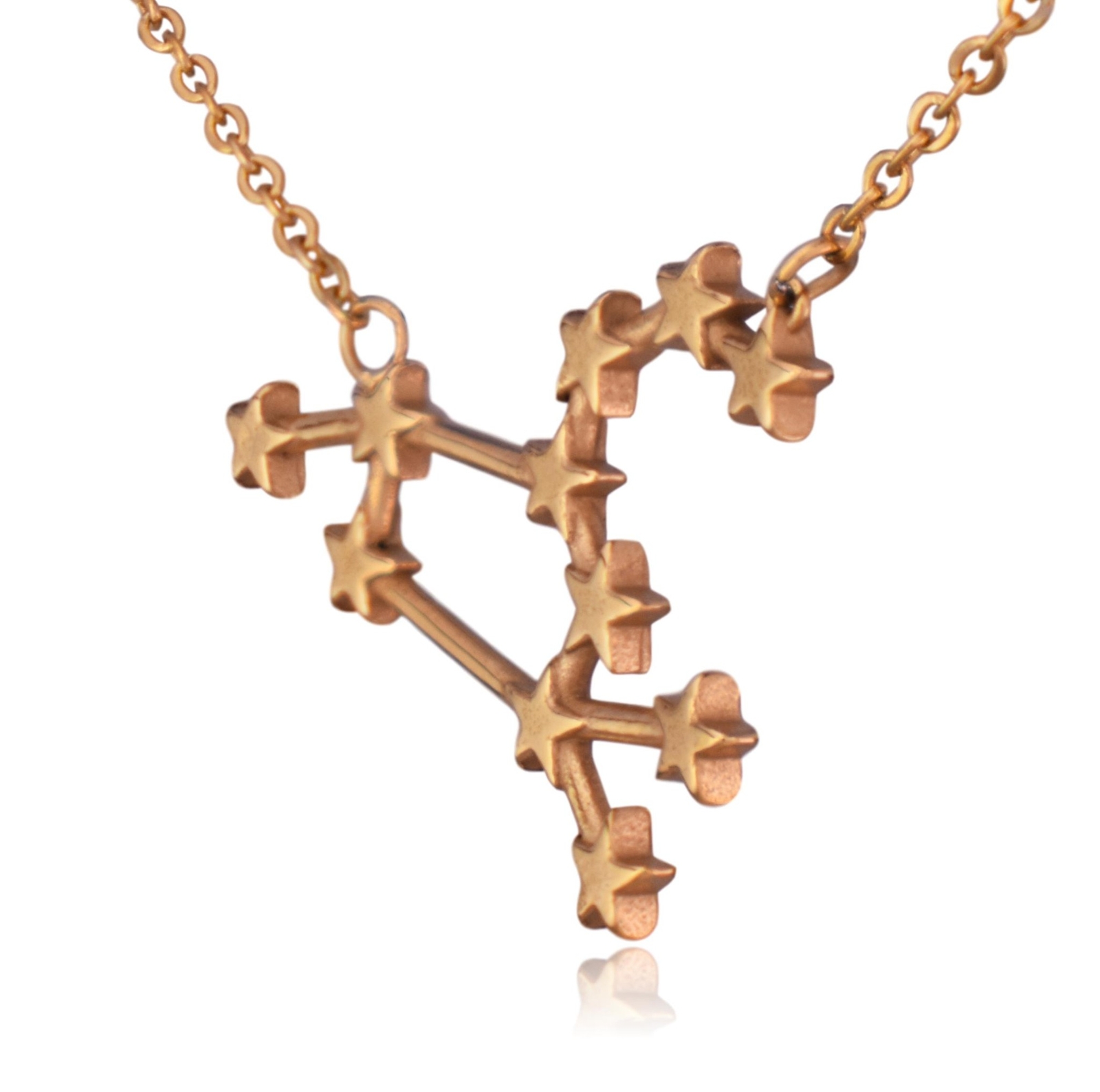 Leo Zodiac Constellation Sign Stainless Steel Pendant Necklace