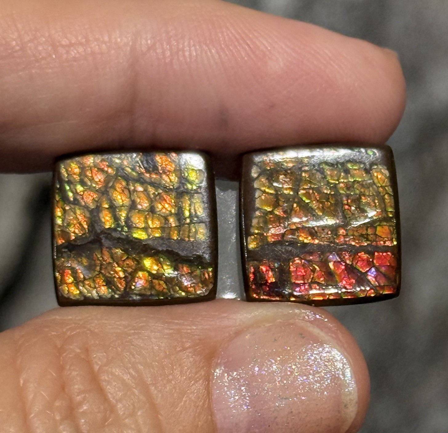 23.10ct 14x14x4mm Pair Fine Golden Red Genuine Ammolite Square Cabochon Gems