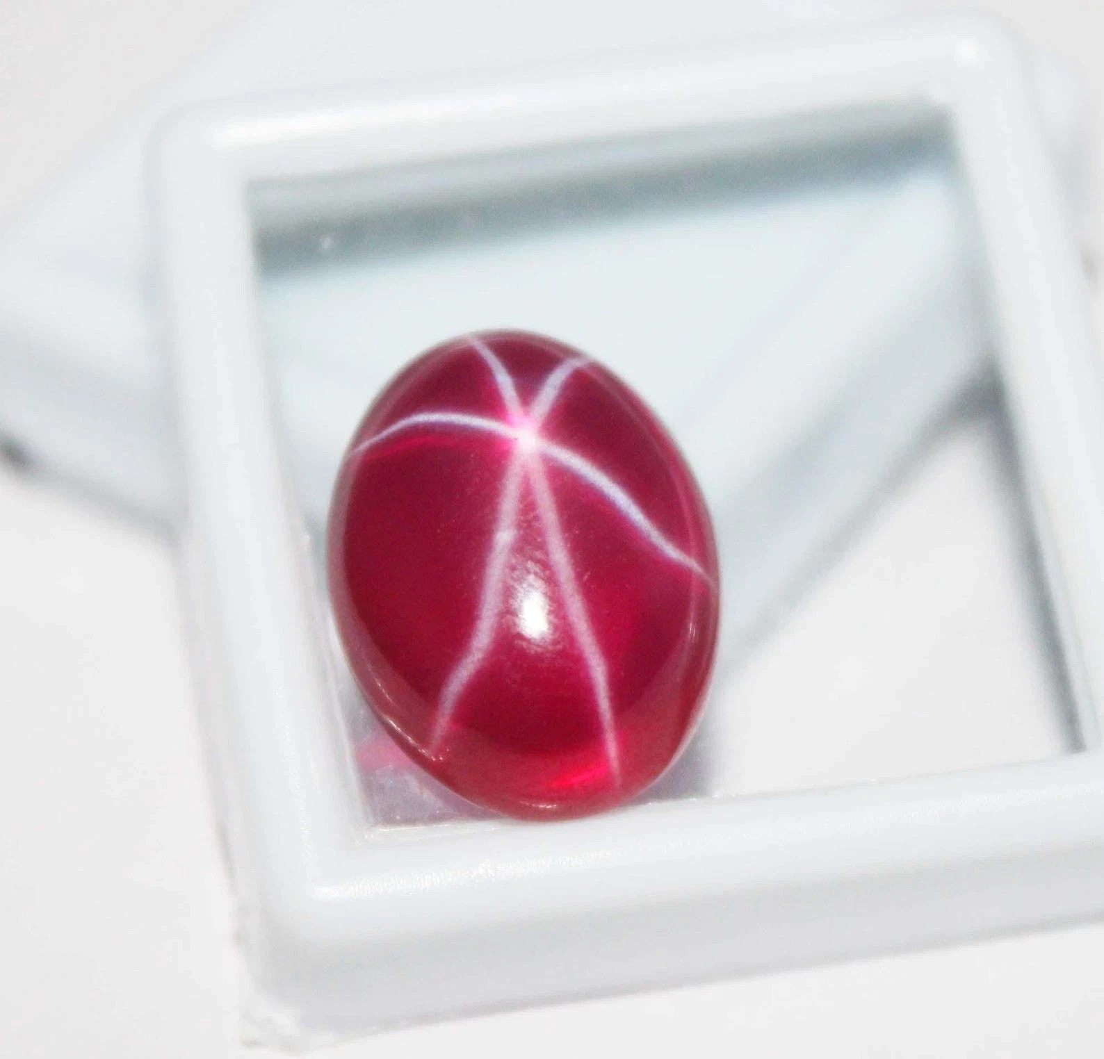 20 Ct Natural Star Ruby Oval Cabochon Red Gemstone Certified Loose