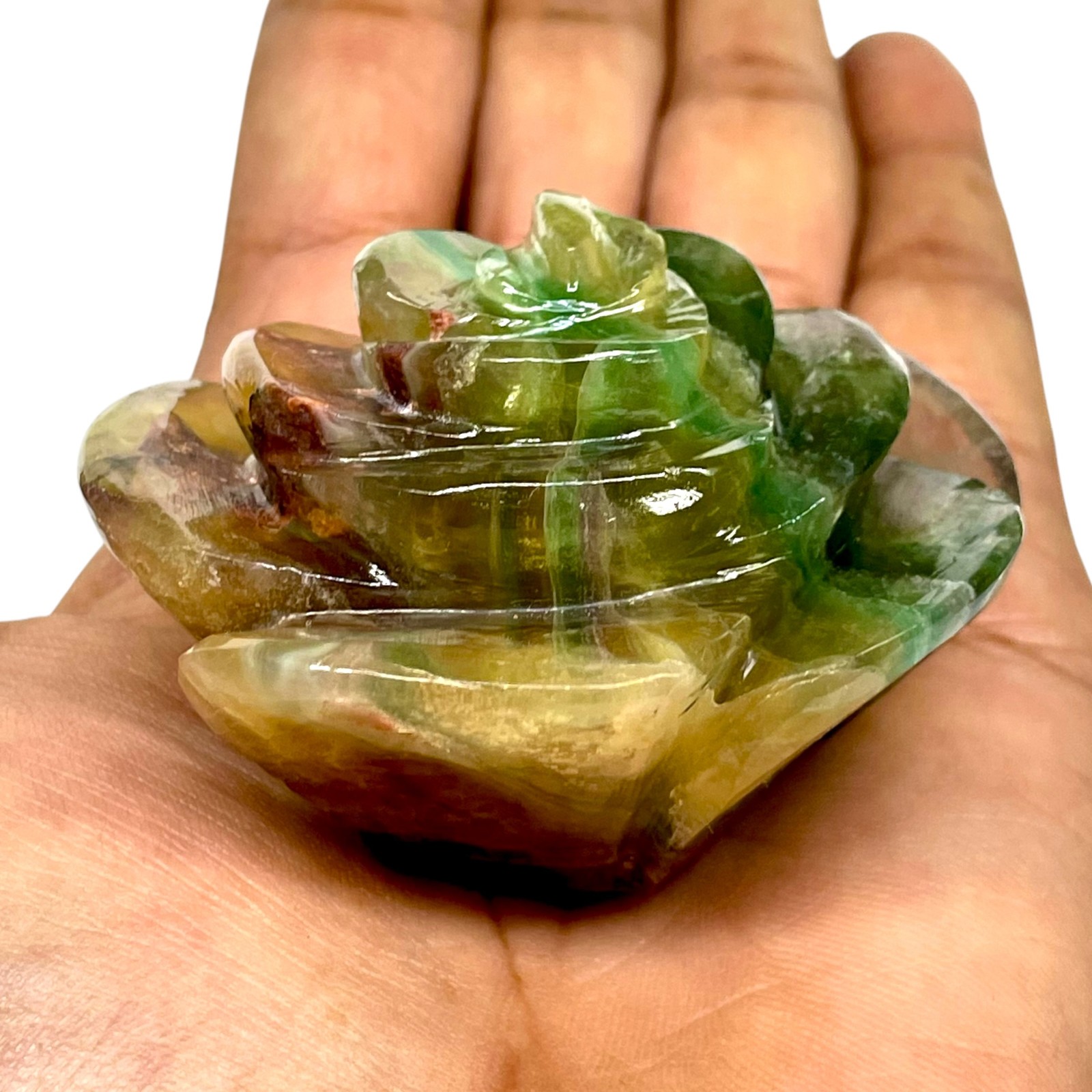730 Ct Natural Bi Color Fluorite Rose Carving Unique Floral Design Huge Gemstone