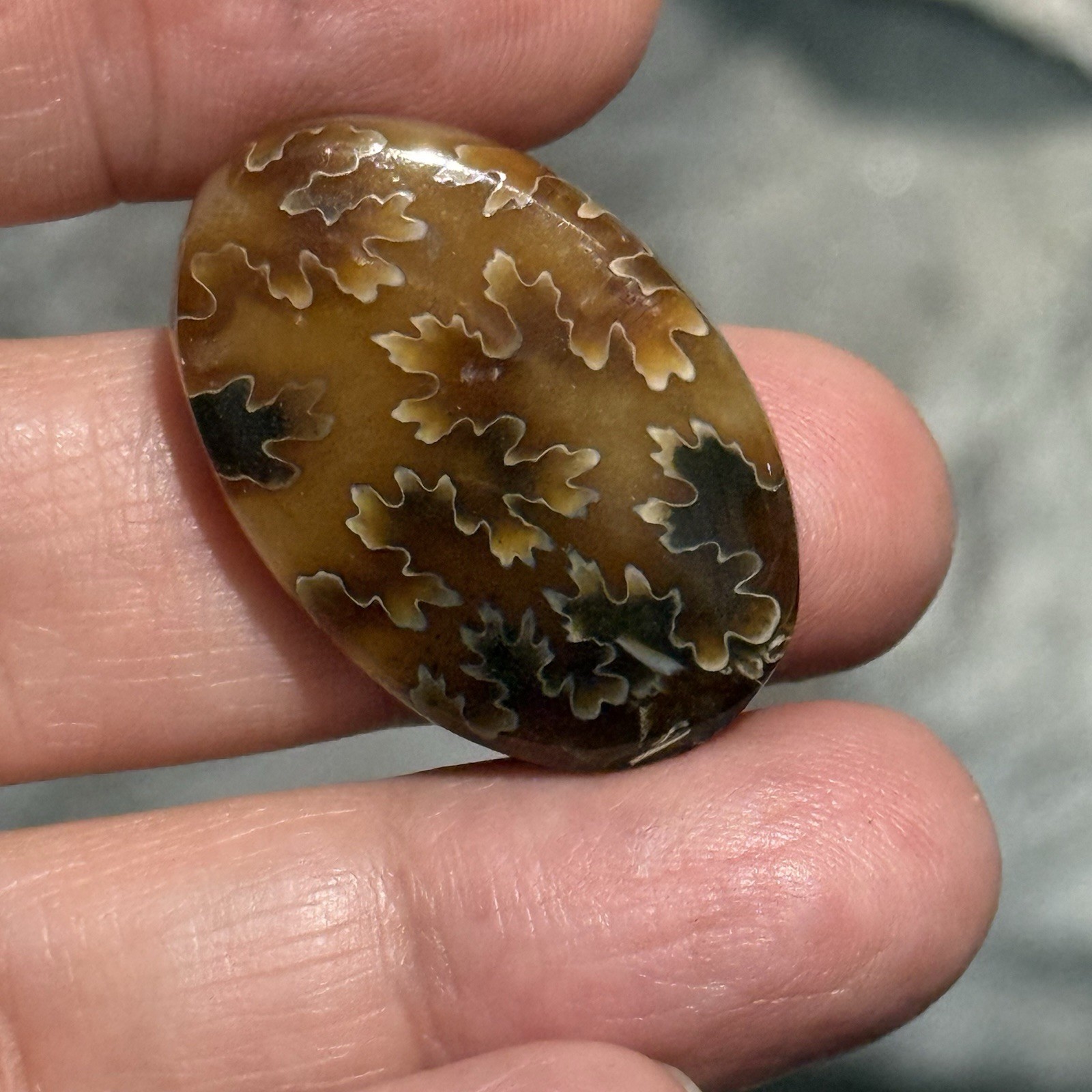 33ct 30×20.6×5.8mm Fine Ammonite Fossil Oval Cabochon Gemstone
