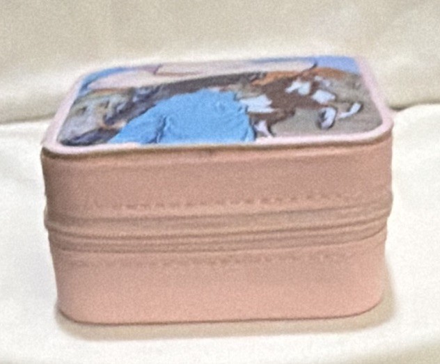 Pink Faux Leather Zipper Jewelry Box w/ Mirror, Velvet Lined, Cowgirl Western