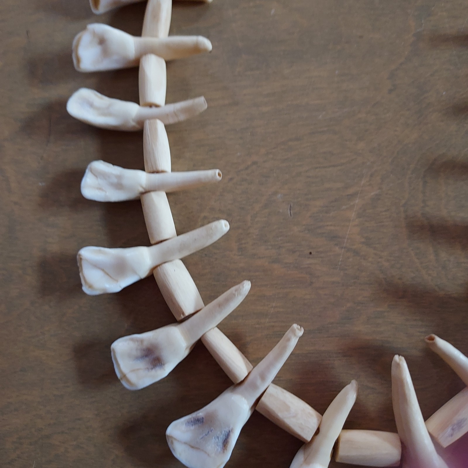 REAL Natural Vintage Tribal Ethnic Necklace Tooth / 20 TEETH + Animal BONES