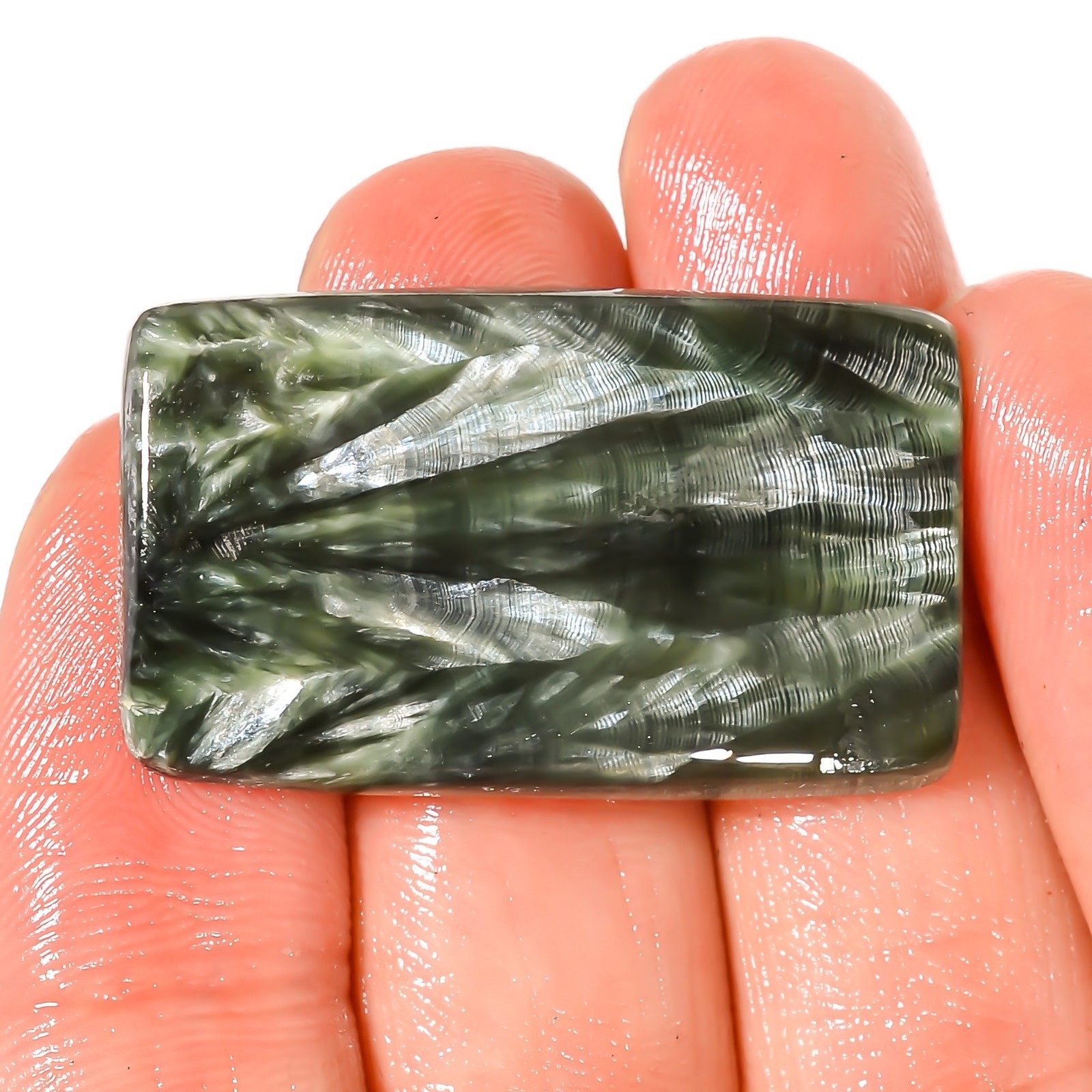 Green Seraphinite Cushion Shape Cabochon Natural Loose Stone 34.35 Cts 20x33x5mm