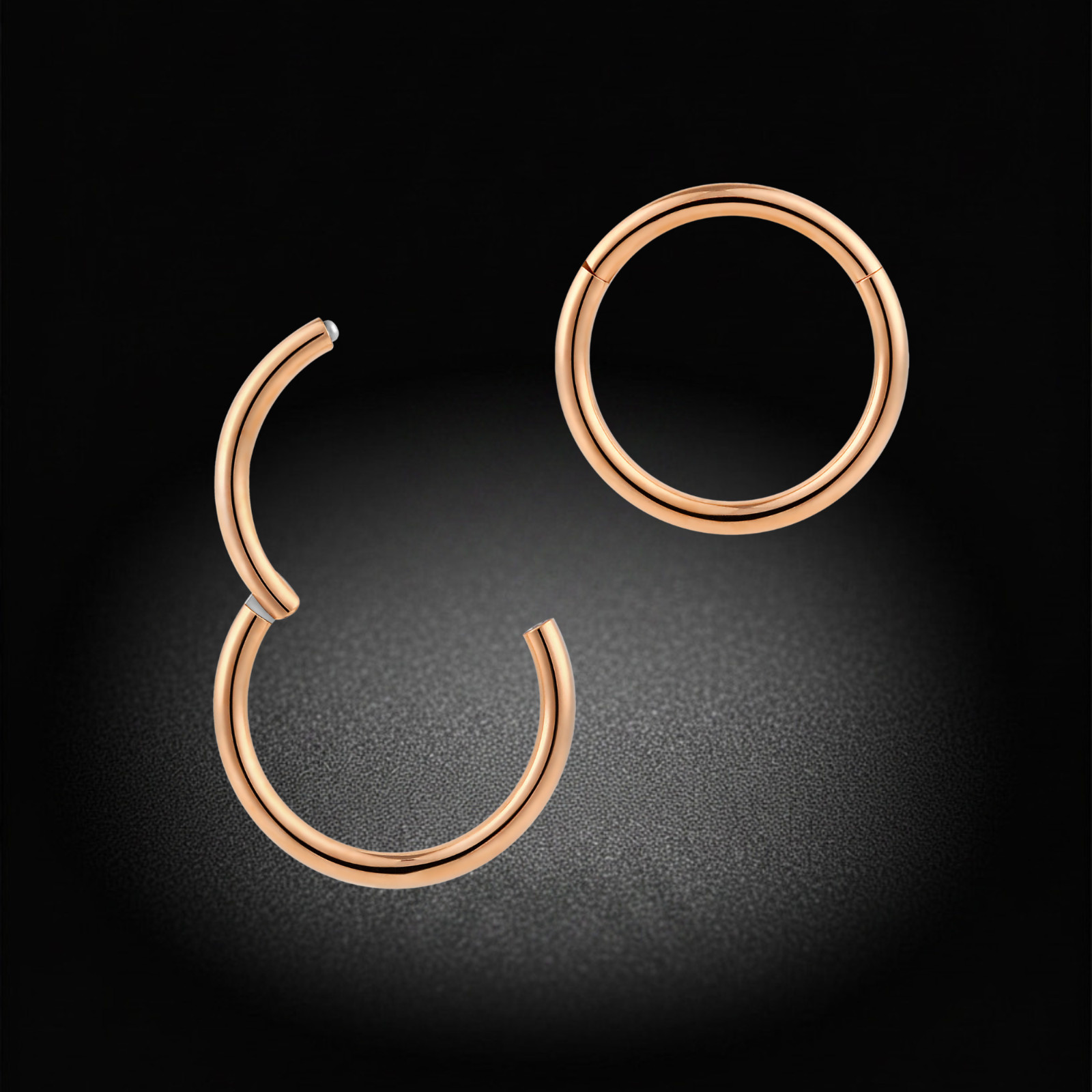 2Pcs Titanium 16G 14G Hinged Segment Septum Tragus Nose Lip Ring Sleeper Earring