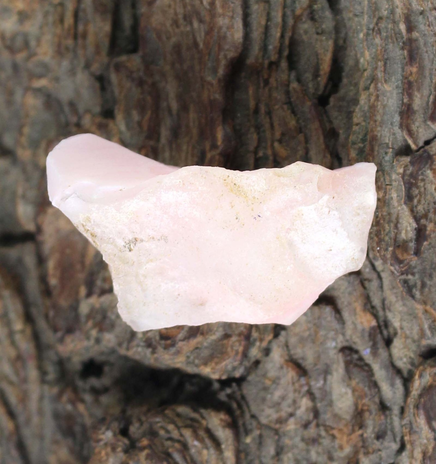 41.25 Carat Certified Natural Peru Pink Opal Thanksgiving Gemstone Rough T33066